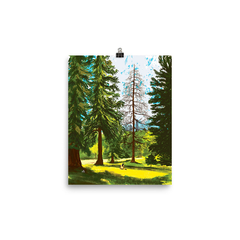 8x10 Amongst the Trees Artwork by Nathan Gowsell Creative