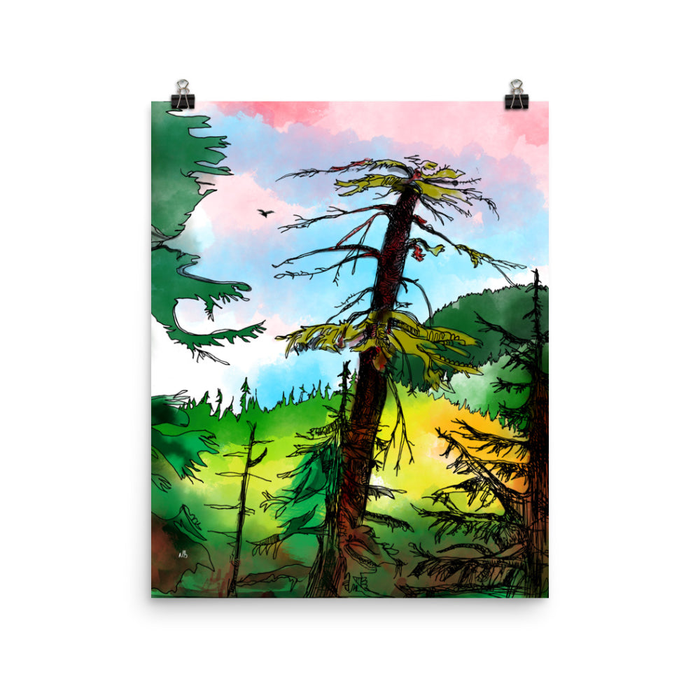 Cypress Mountain 16x20