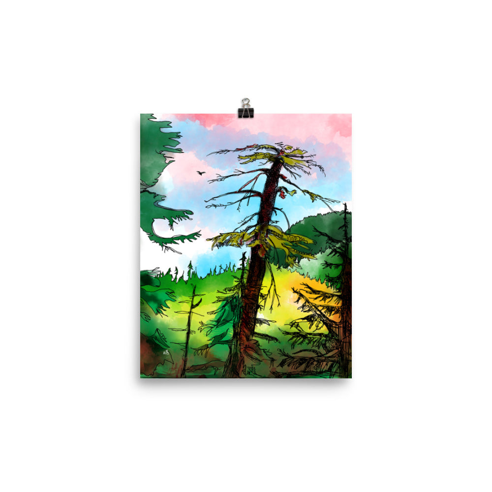 Cypress Mountain 8x10